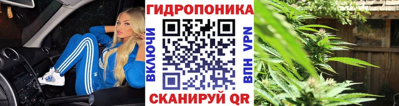 Бошки Шишки марихуана  Купить где  Фролово 